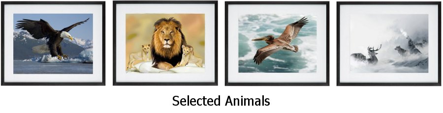Selected Animal Framed Prints